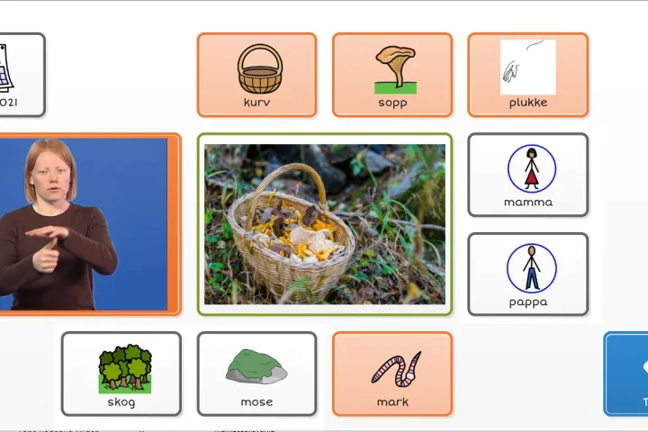 tegnbanken sopptur grid