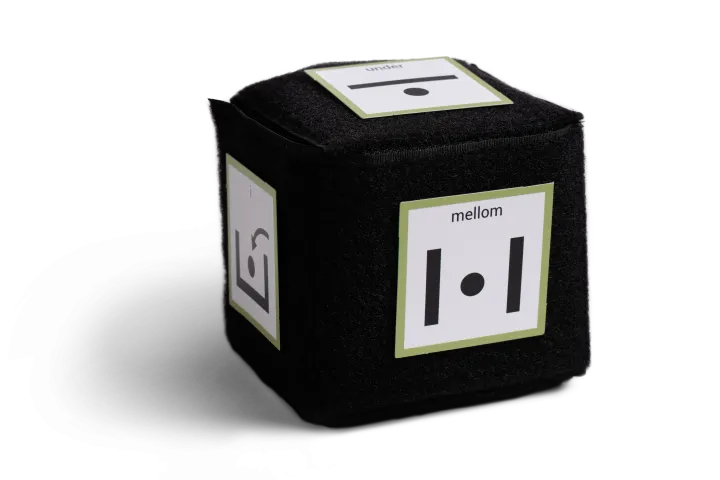 ASK Grunnpakke terning