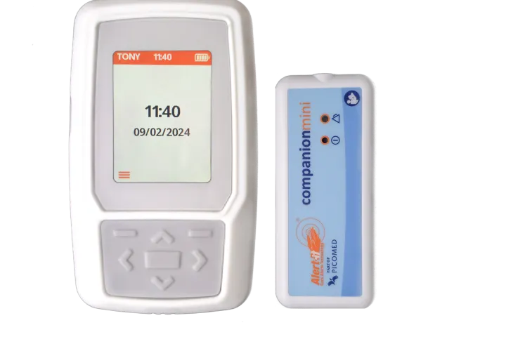 Companion Mini P176A - Alert-iT