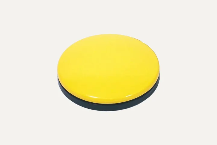 biddy-yellow.jpg